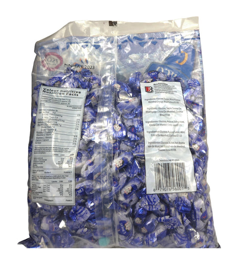 CHICO ARTIC MINT CANDY 2.2 LB - Uplift Things