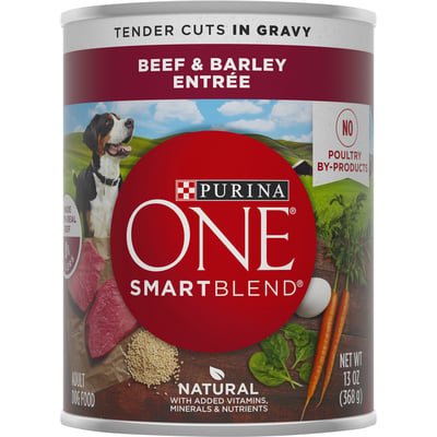PURINA ONE CANS 13 OZ - BEEF & BARLEY ENTREE - Uplift Things