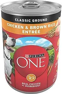 PURINA ONE CANS 13 OZ - CHICKEN & BROWN RICE ENTREE - Uplift Things